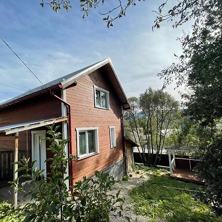 Карпатський Котедж Karpatian Cottage Vorokhta Luaran gambar