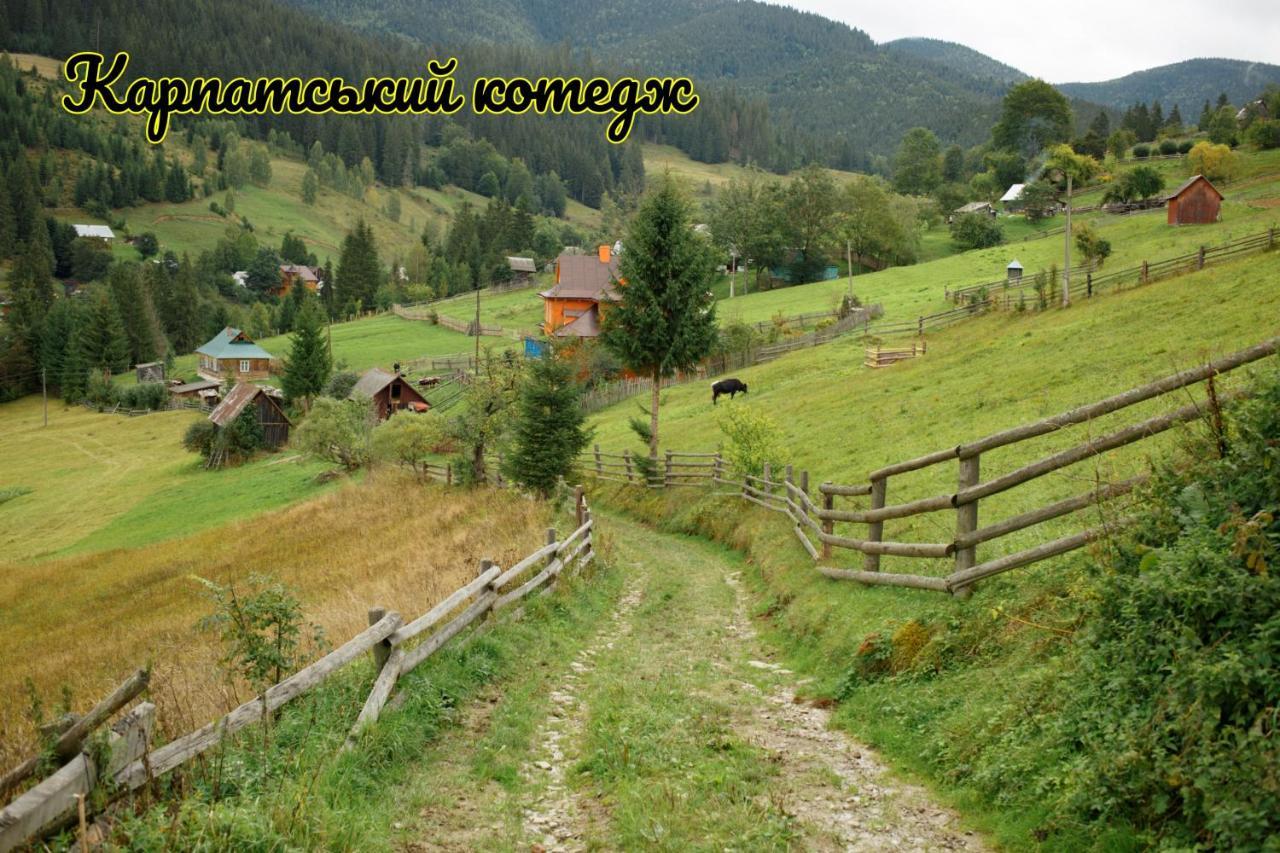 Карпатський Котедж Karpatian Cottage Vorokhta Luaran gambar
