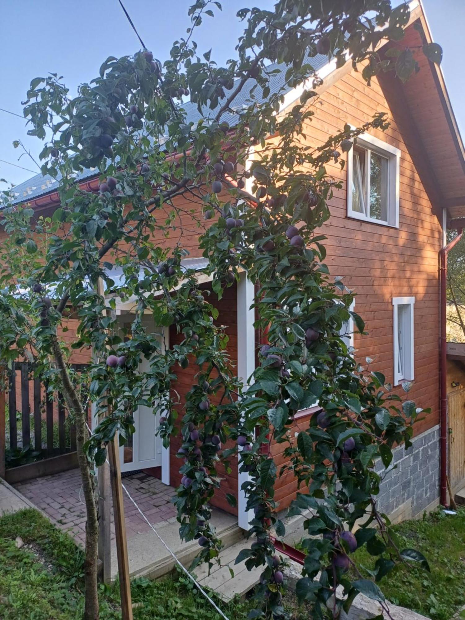 Карпатський Котедж Karpatian Cottage Vorokhta Luaran gambar